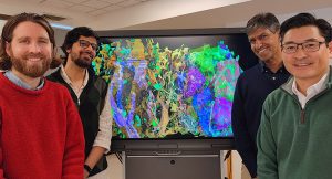 Read more about the article RI-MUHC and McGill researchers make a breakthrough in understanding brain nanoarchitecture, using computer vision