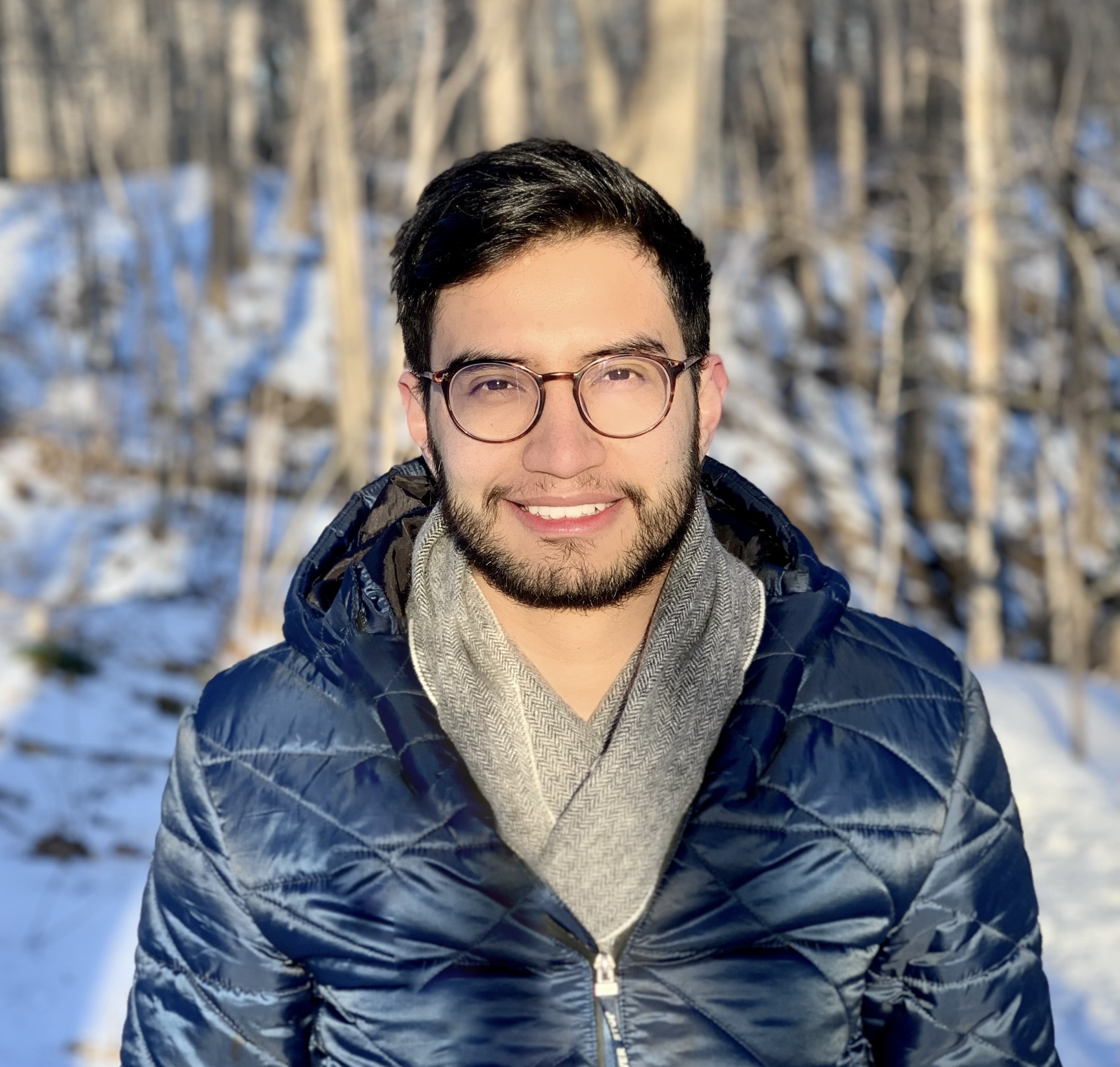 Better understanding the role of vision in the brain’s representation of space by studying freely moving primates